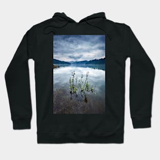 Lake Vidra in Romania Hoodie